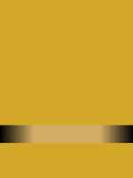 Lieutenant junior grade insignia