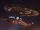 Ncc1031.jpg