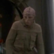 Pardshay.jpg (9 KB) Pardshay