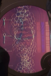 Vulcan DNA schematic