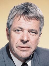 William Windom, 1980s