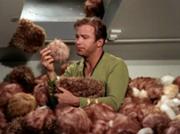 180px-Kirk surrounded by Tribbles
