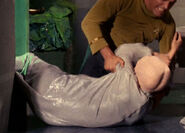 Sandra Gimpel, The Cage.jpg (51 KB) Stunt double for Meg Wyllie TOS: "The Cage" (uncredited)