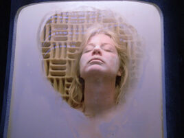 Frozen aboard a space module
