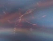 DNA, time stream.jpg (3 kio) ADN