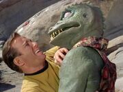 Kirk und der Gorn