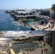 Monterey Bay Aquarium