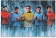 Open Road Brands Star Trek The Original Series characters canvas.jpg (216 KB) TOS characters canvas art