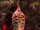 Pine cone