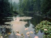 Pollux IV surface, pond