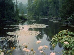 Pollux IV surface, pond