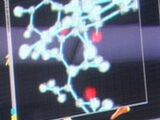 Pheromone