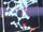 Pheromone