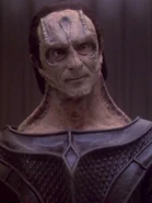 Dukat 2374.jpg (93 KB) 2374