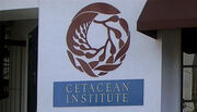 Cetacean Institute logo