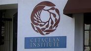 Cetacean Institute logo