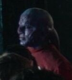 Fesoj Artifact visitor