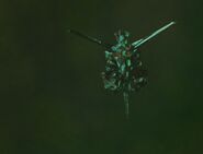 Bio-ship is assimilated.jpg (56 KB) A bio-ship as it attempts to fire its weapon after impacting a warhead