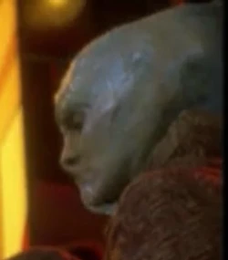 Female alien's profile Played by an unknown actress ("Afterimage")