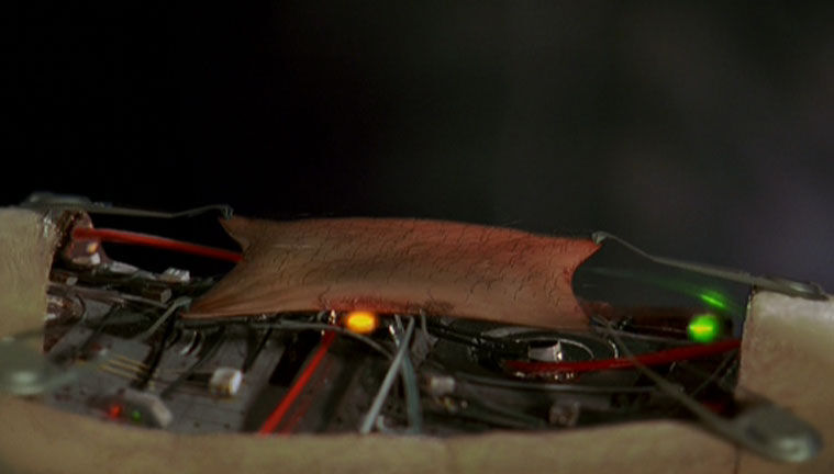 Data's skin