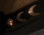 Romulan chairman insignia, 2375.jpg (24 KB) Chairman of the Tal Shiar