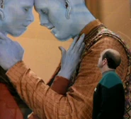 Bolians courting.jpg (57 KB) (2) Bolians getting to know one another