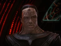 Дамар на посту лидера Кардассии