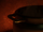 Sleeper ship stew