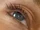 Leijten's eye.jpg