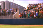 Baseball audience 2