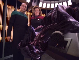 The true form of "David Gentry"