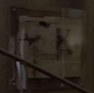 A painting in the living quarters of Valerie Archer (VOY: "In the Flesh")