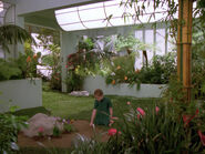 Das Arboretum der USS Enterprise (NCC-1701-D)