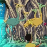 Two-headed birds in menagerie.jpg (126 KB) Two-headed birds