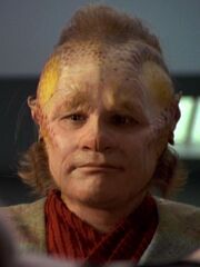 Neelix 2371