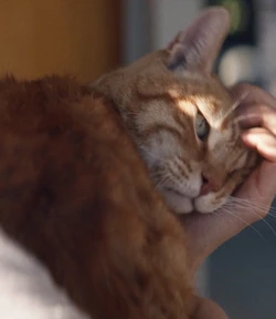 Animal acteur inconnu est Spot II