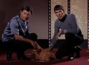 McCoy, Alfa canine and Spock