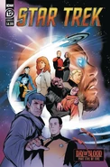 Star Trek 12 cover B.jpg (138 KB) Cover B