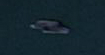 Spacedock orbital shuttle 1