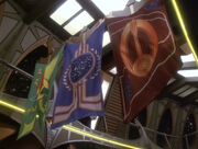 Bajoran, Klingon, and Federation flags