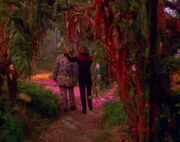 Neelix and Janeway visit Forever Forest