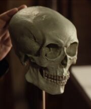 Sarek's skull