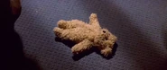 Teddy Bear, Generations.jpg (107 KB) A teddy bear that was dropped during the evacuation of the Enterprise-D's secondary hull