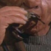 Ferengi crab