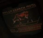 Phylum search mode - Ovis dalli (Cow).jpg (13 KB) Cattle Ovis dalli