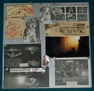 Porthos bulletin board, it's a wrap.jpg (85 KB) The Porthos bulletin board