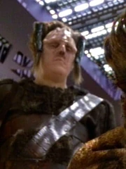 Eine Sicherheitswache von Bahrat