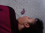 Parasite leaving Tryla Scott.jpg (782 KB) Parasite evacuating host