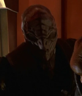 ... as stunt double for David Sparrow