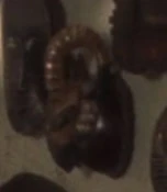 Animal with ram-like horn